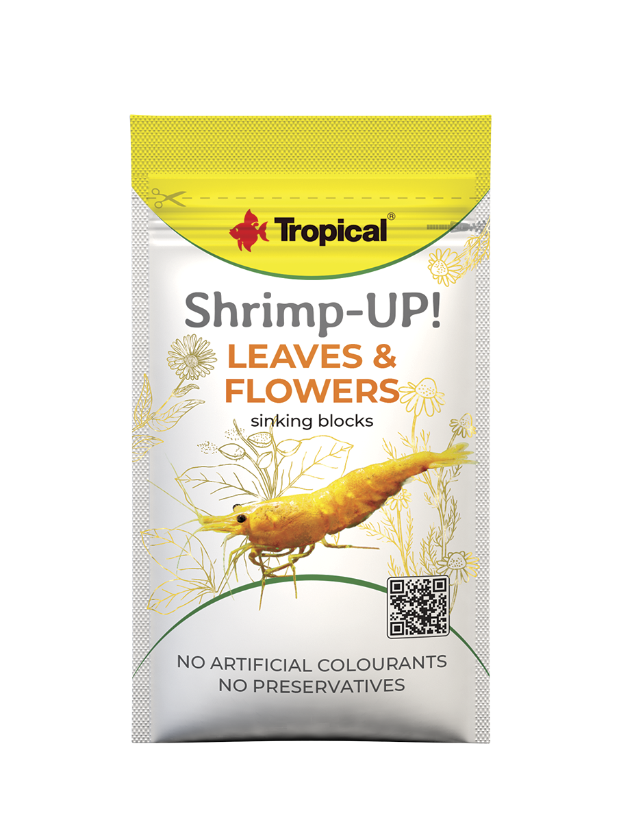 Tropical Shrimp-Up! Leaves & Flowers