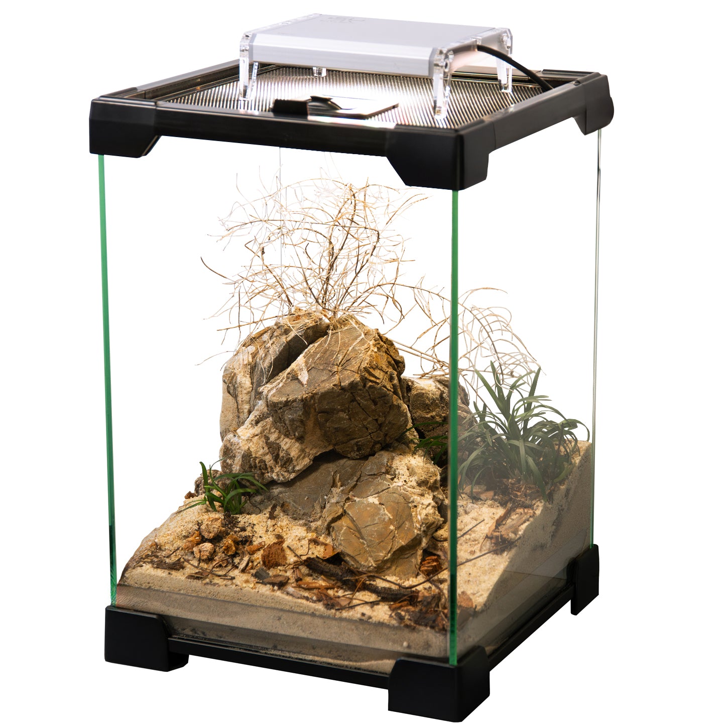 Skylight TINY2