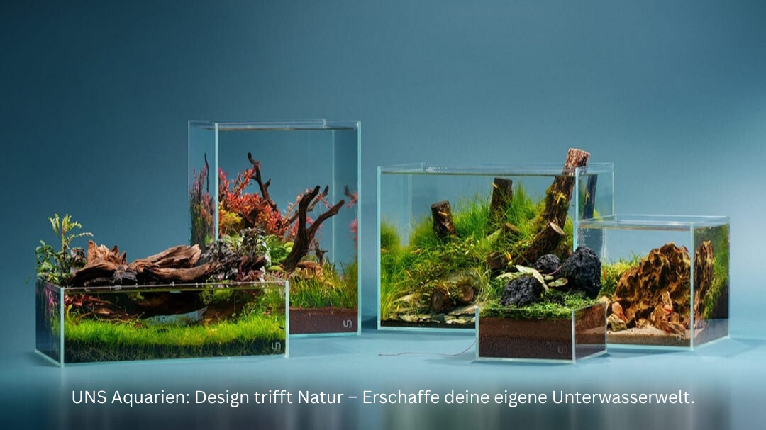 UNS Aquarien B-Ware zum Sonderpreis