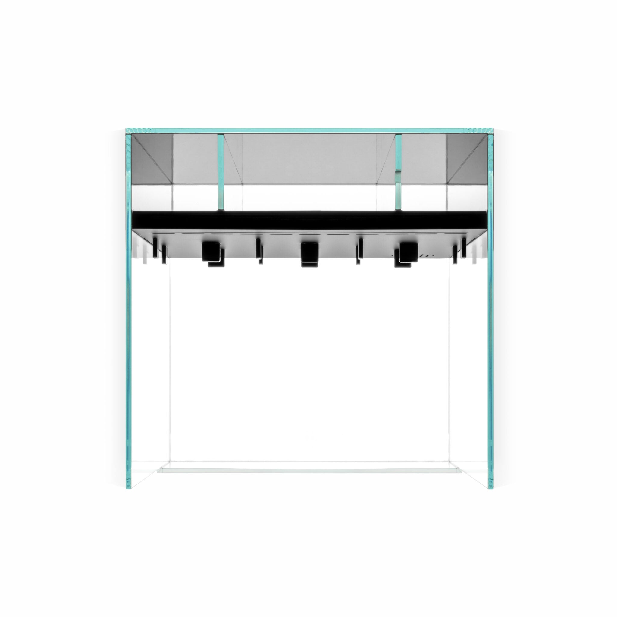 Das Bild zeigt ein rechteckiges, transparentes Paludarium. Das Aquarium ist mit einer schwarzen Rückwand ausgestattet, die mit zahlreichen kleinen Löchern perforiert ist. Die Löcher sind in einem unregelmäßigen Muster angeordnet.  Sicht von oben.