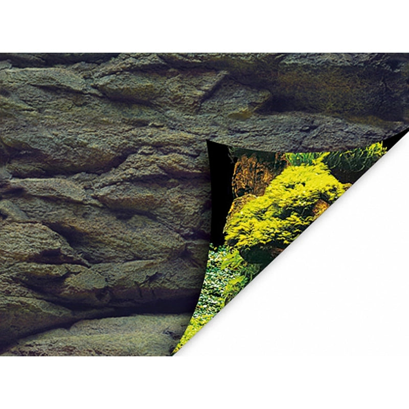 Rückwandfolie Rock/Plants