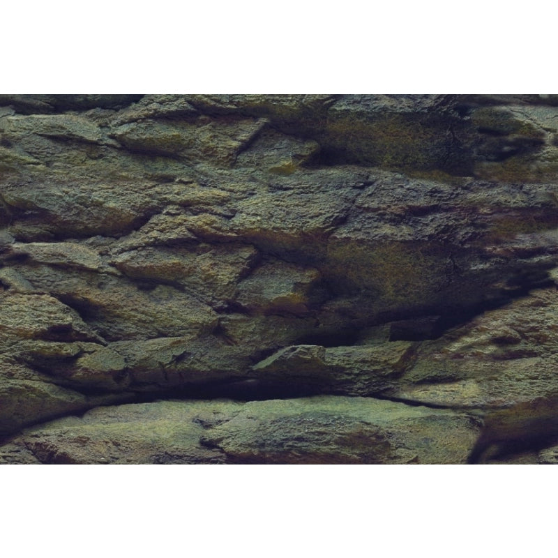Rückwandfolie Rock/Plants