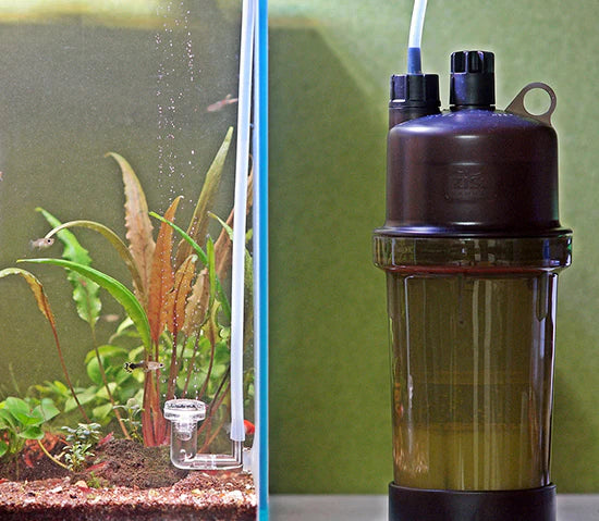 Ziss ZC-II Co2-Generator