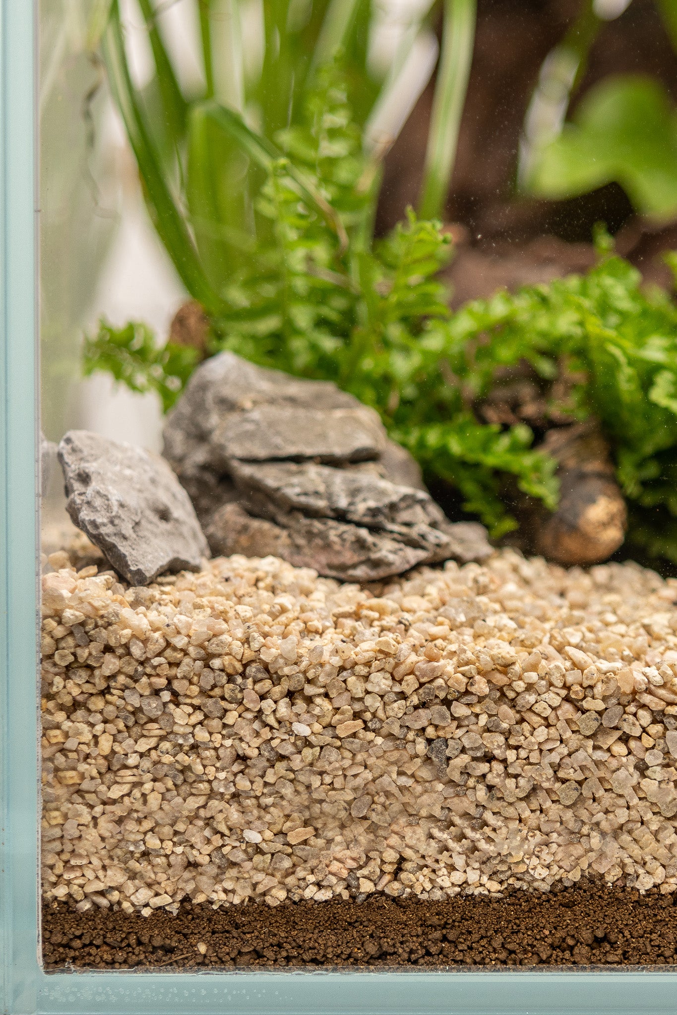 Dennerle Plants Substrate