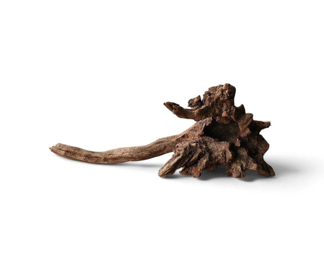 Coral Sinker Wood   Nr. 118