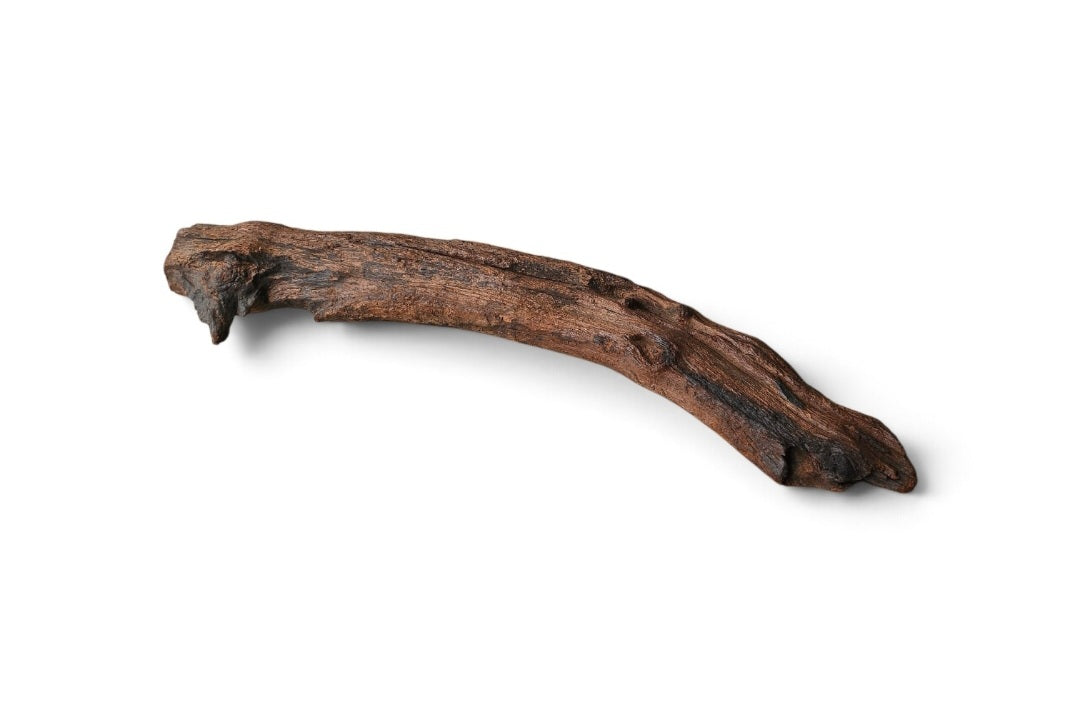 Driftwood / Flusswurzel   Nr. 119