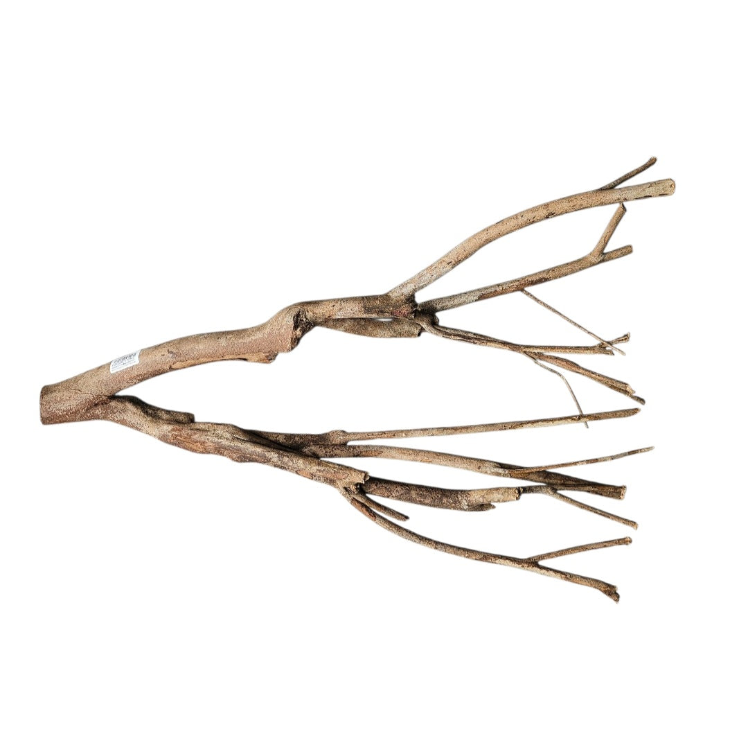 Talawa Holz / Wood 50-70 cm   Nr. 245