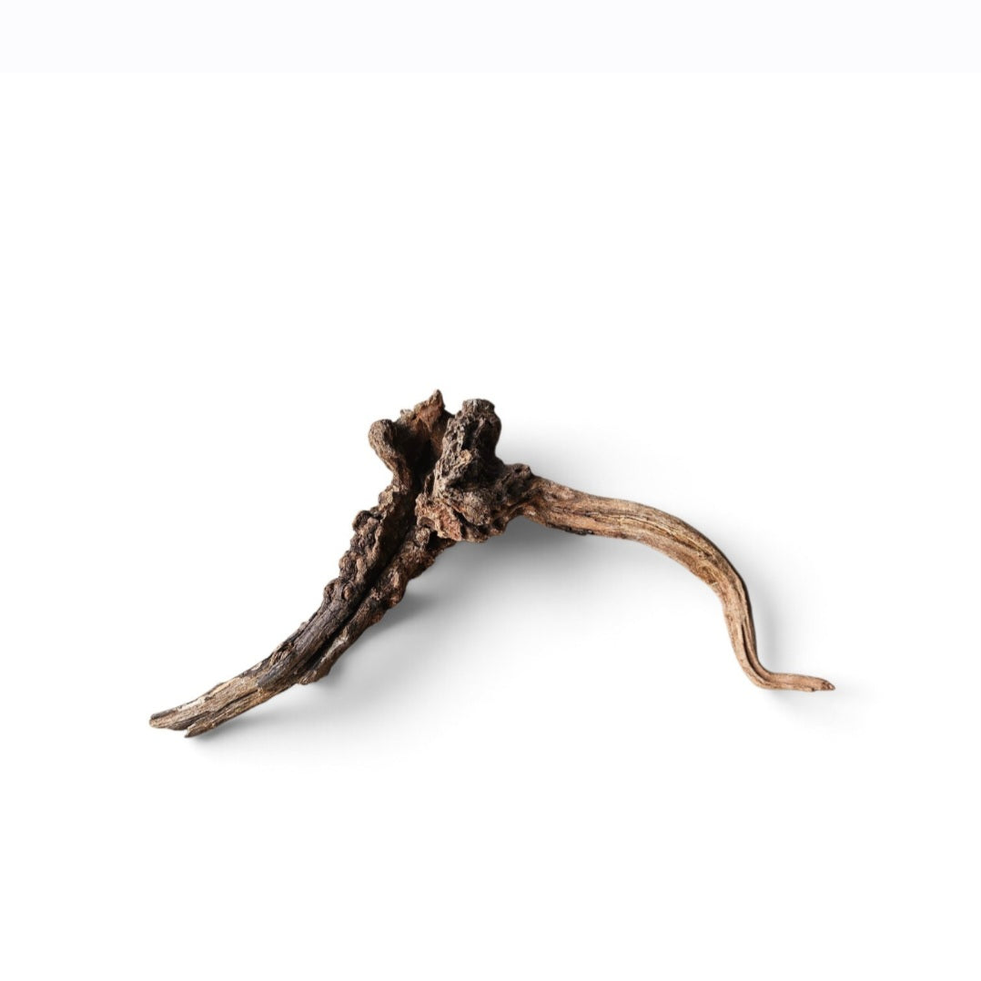 Coral Sinker Wood   Nr. 165