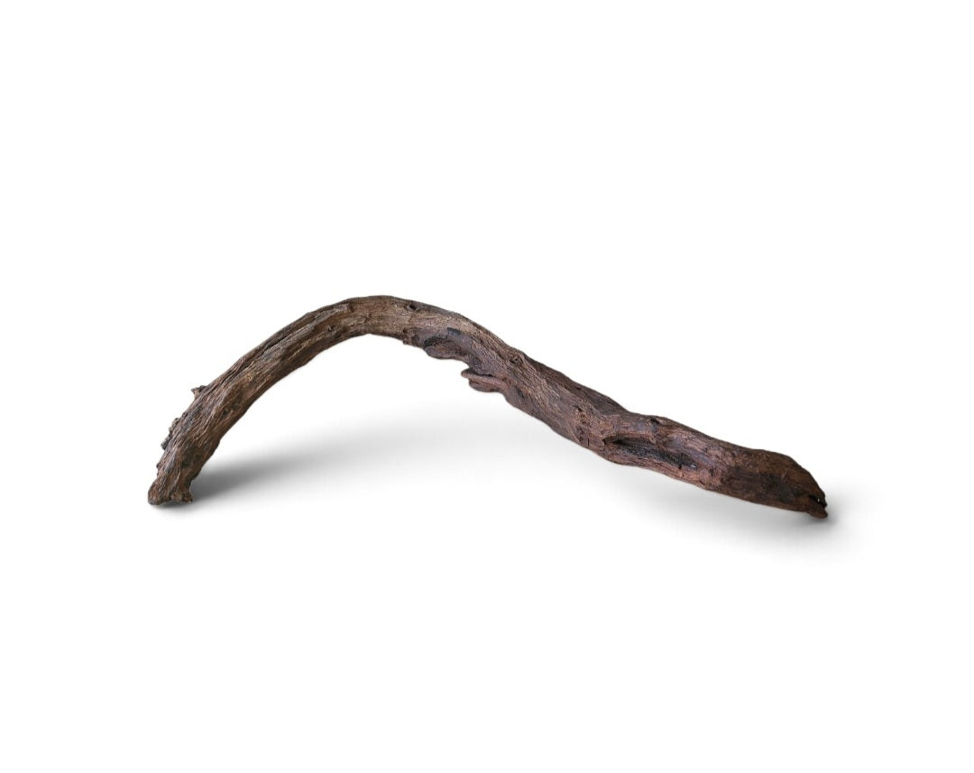 Driftwood / Flusswurzel   Nr. 125