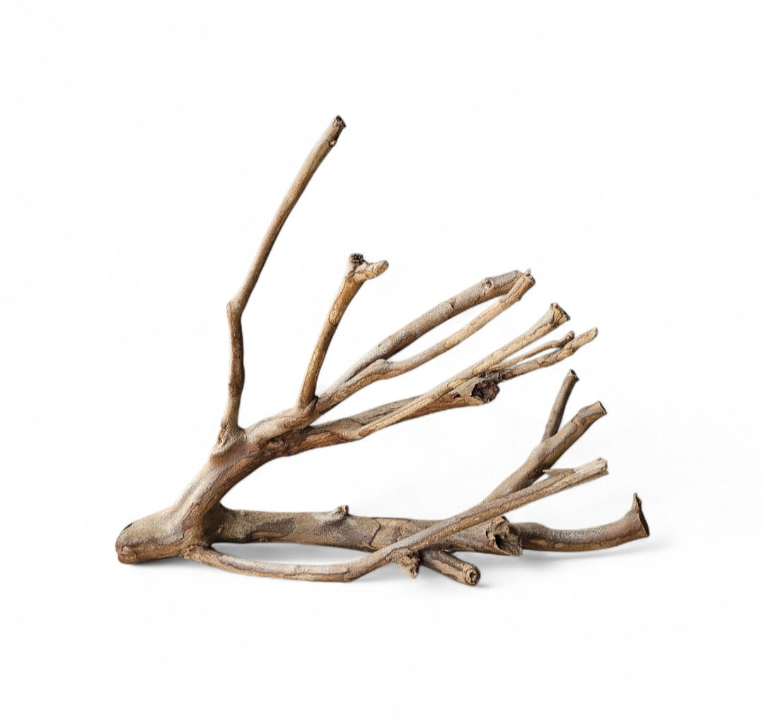 Talawa Holz/Wood 30-45cm   Nr. 241