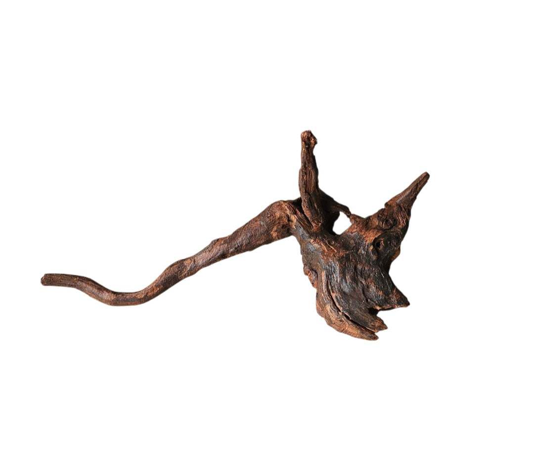 Driftwood / Flusswurzel   Nr.792
