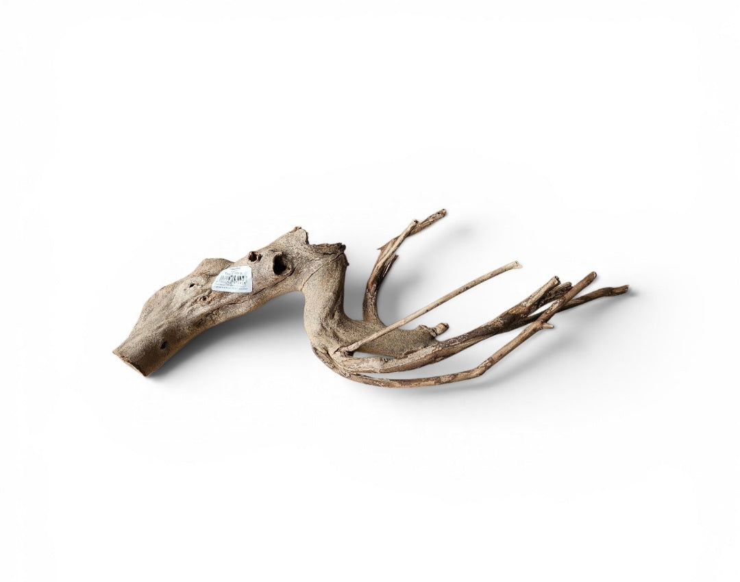 Talawa Wood 30-45cm  Nr. 237