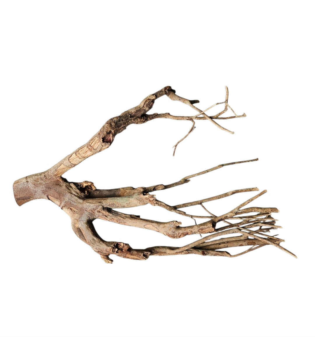 Talawa Holz / Wood 50-70 cm   Nr. 249