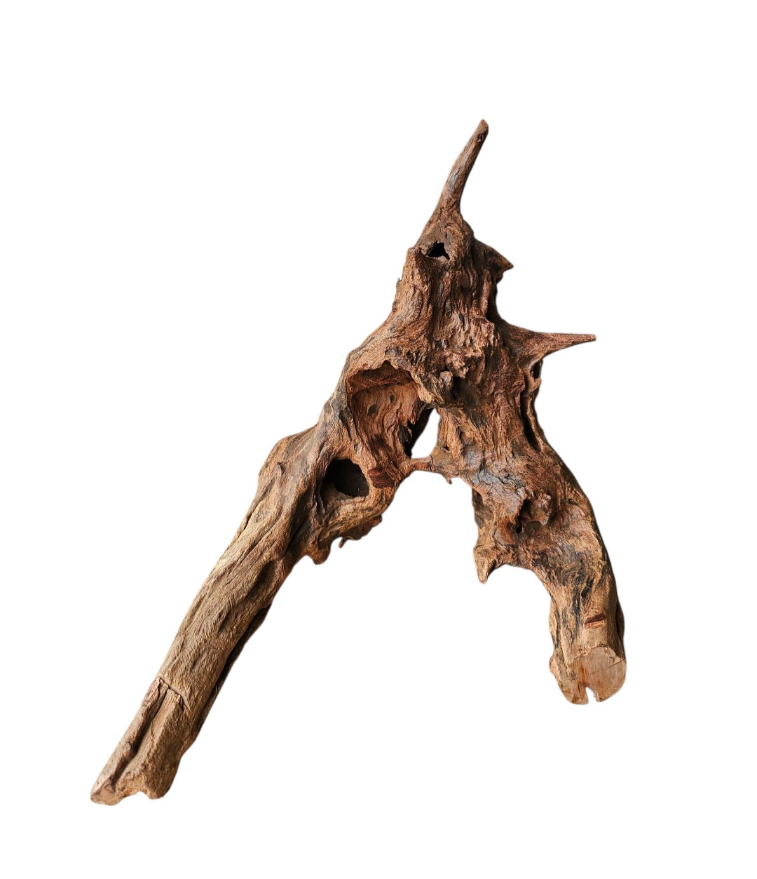 Driftwood / Flusswurzel   Nr.995