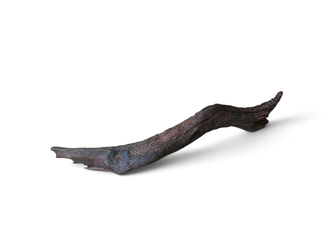 Driftwood / Flusswurzel   Nr. 155