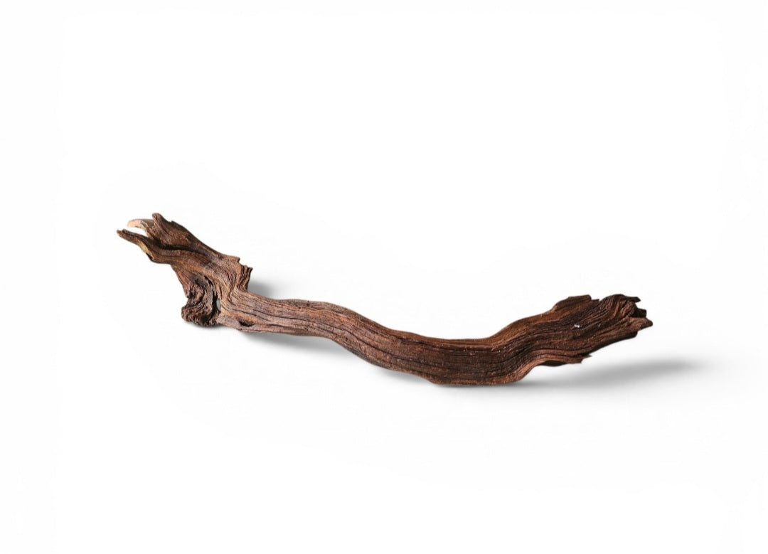 Driftwood / Flusswurzel   Nr.792