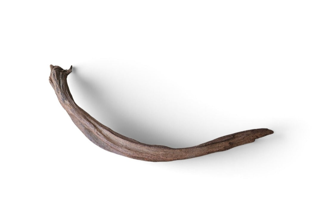 Driftwood / Flusswurzel   Nr. 90