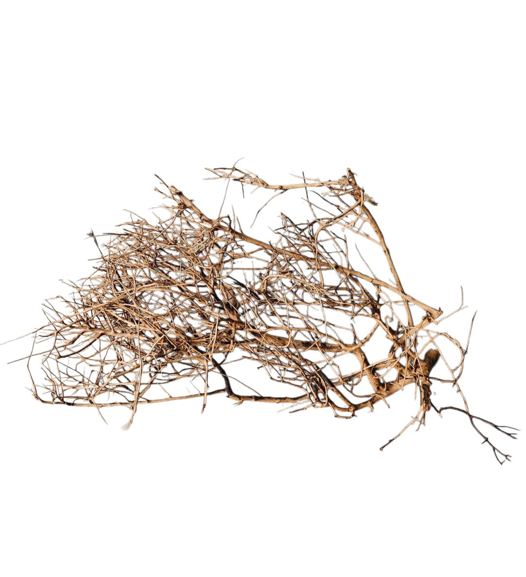Small tree branches  Nr.663