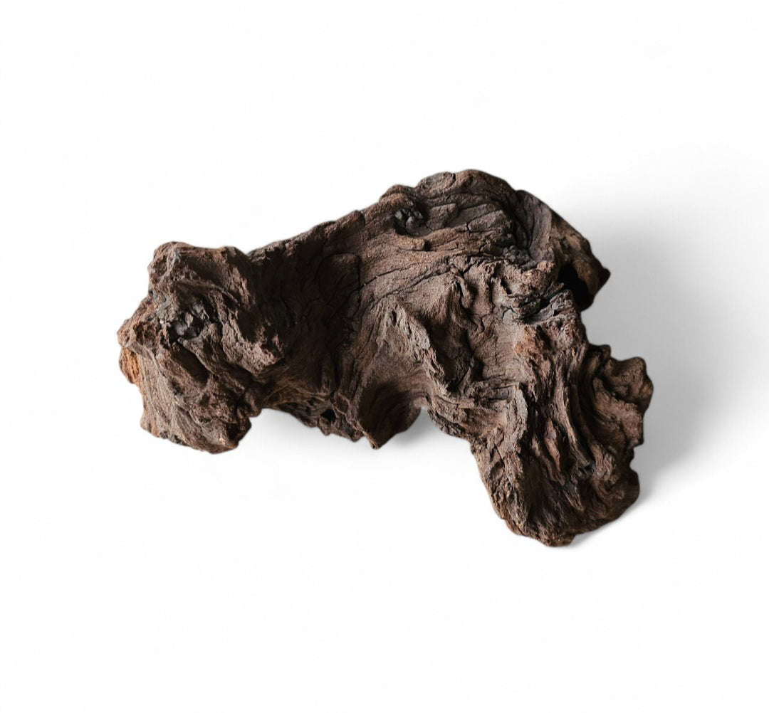 Mopani Wurzel  Nr.39