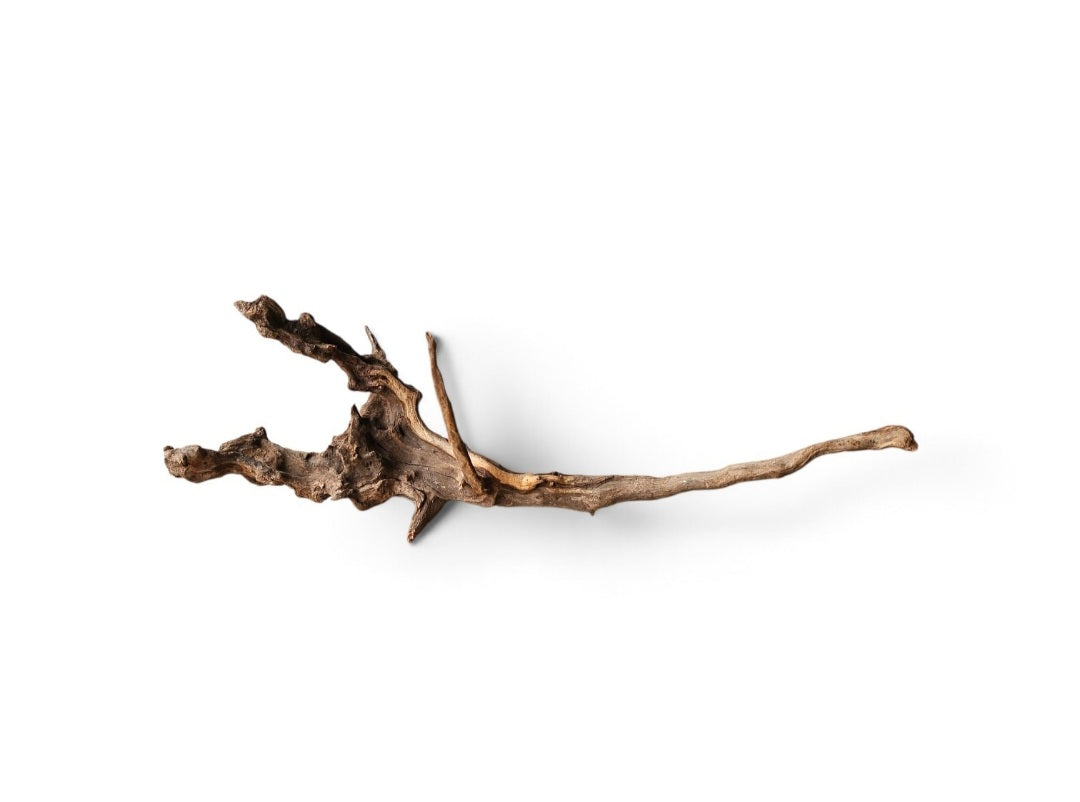 Coral Sinker Wood   Nr. 122