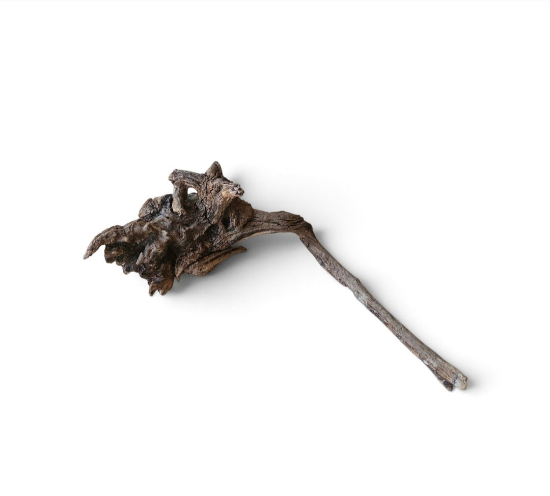 Coral Sinker Wood   Nr.645