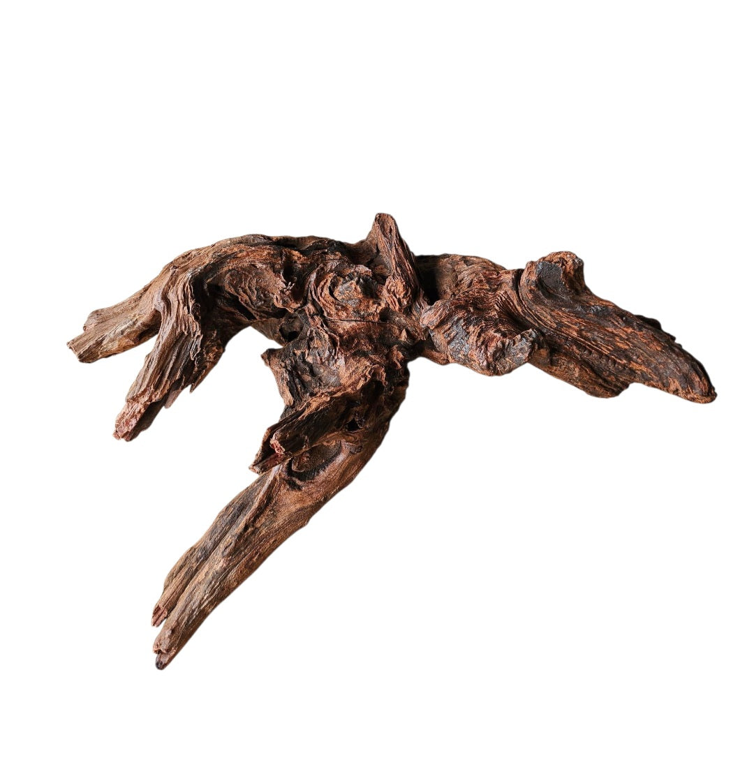 Driftwood / Flusswurzel   Nr.324