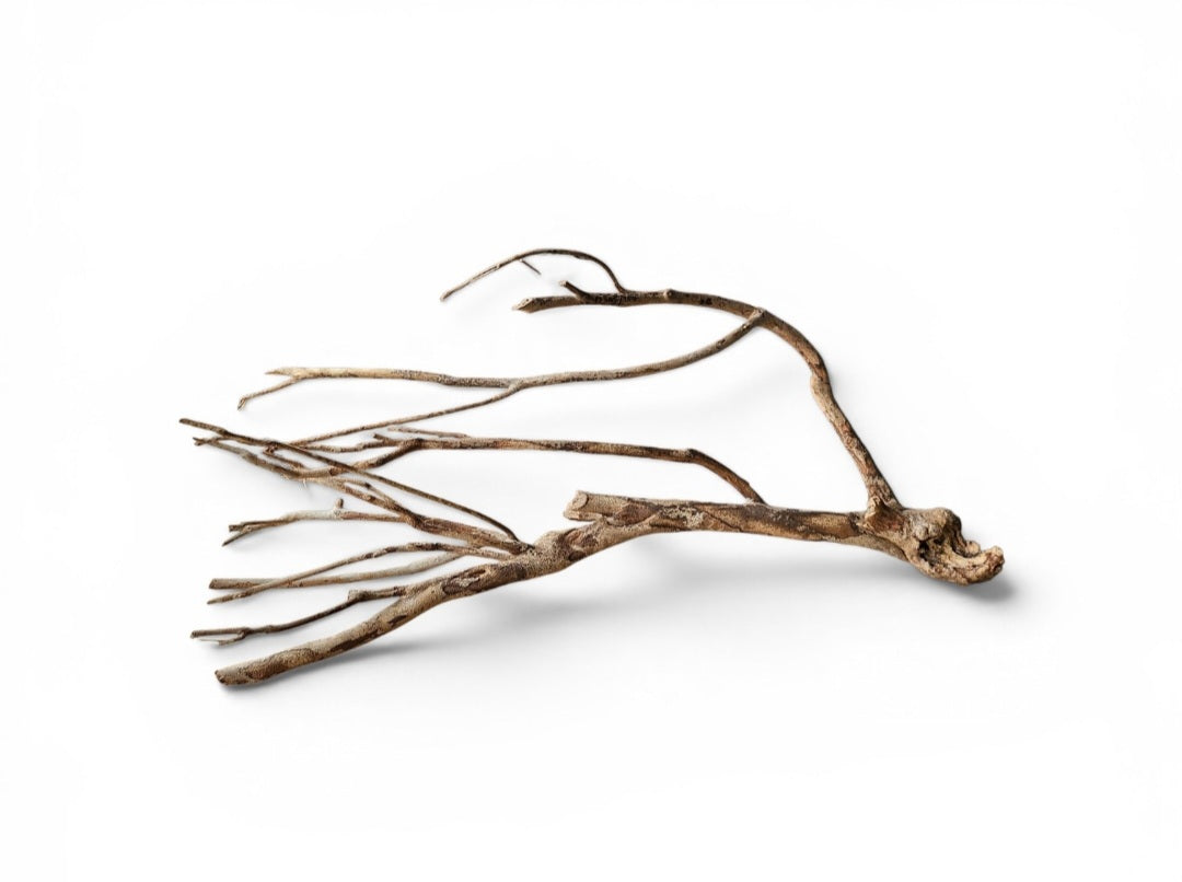 Talawa Holz / Wood 50-70 cm   Nr. 96