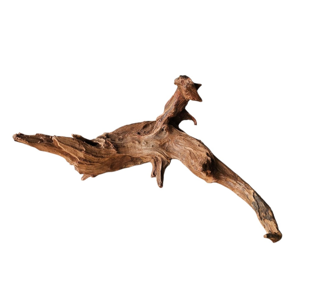 Driftwood / Flusswurzel   Nr.997