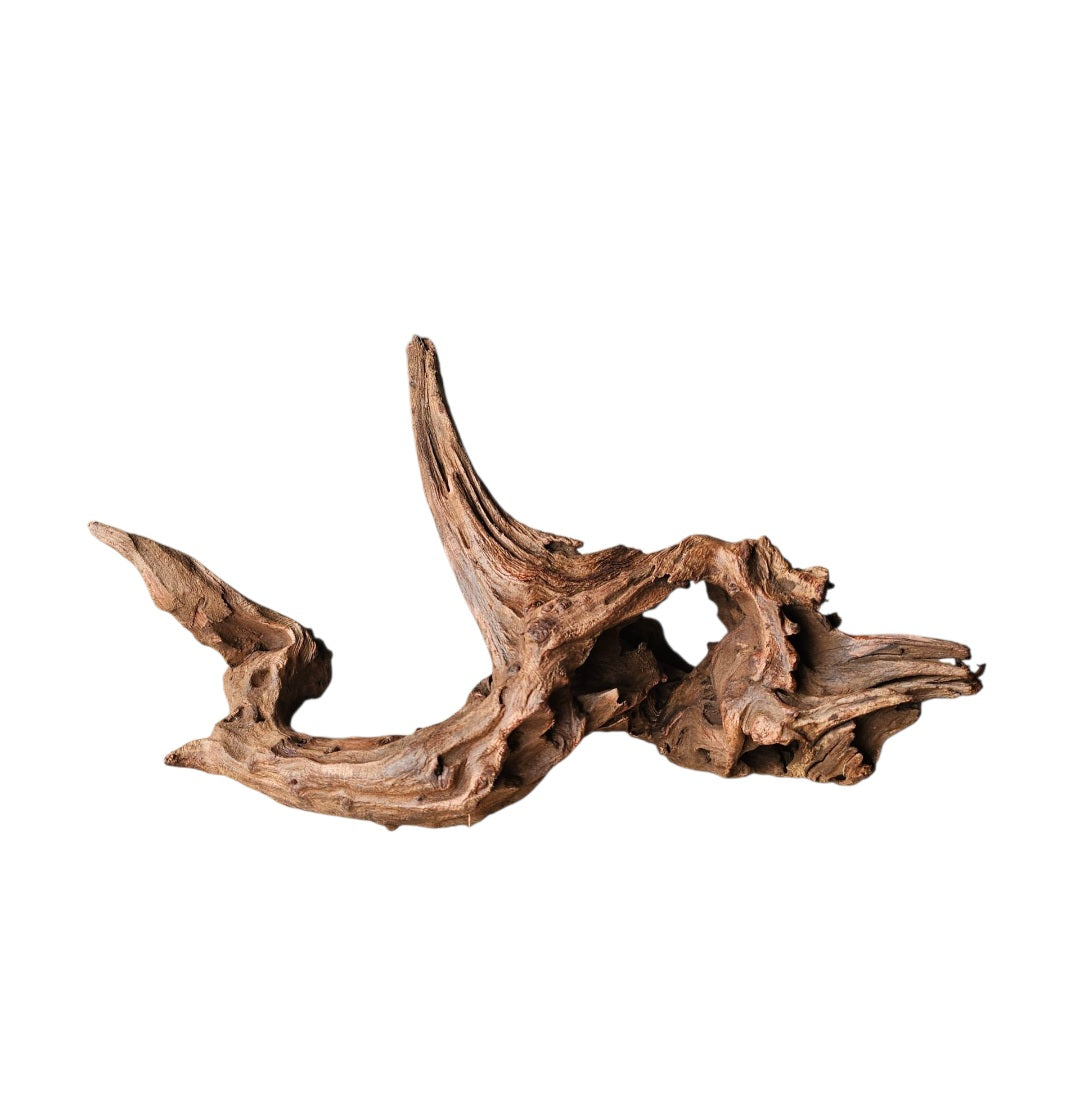 Driftwood / Flusswurzel   Nr.336