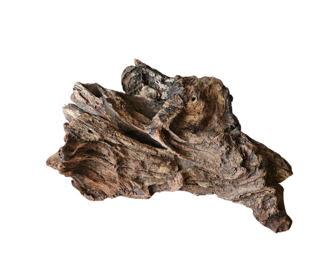 Coral Sinker Wood   Nr. 882