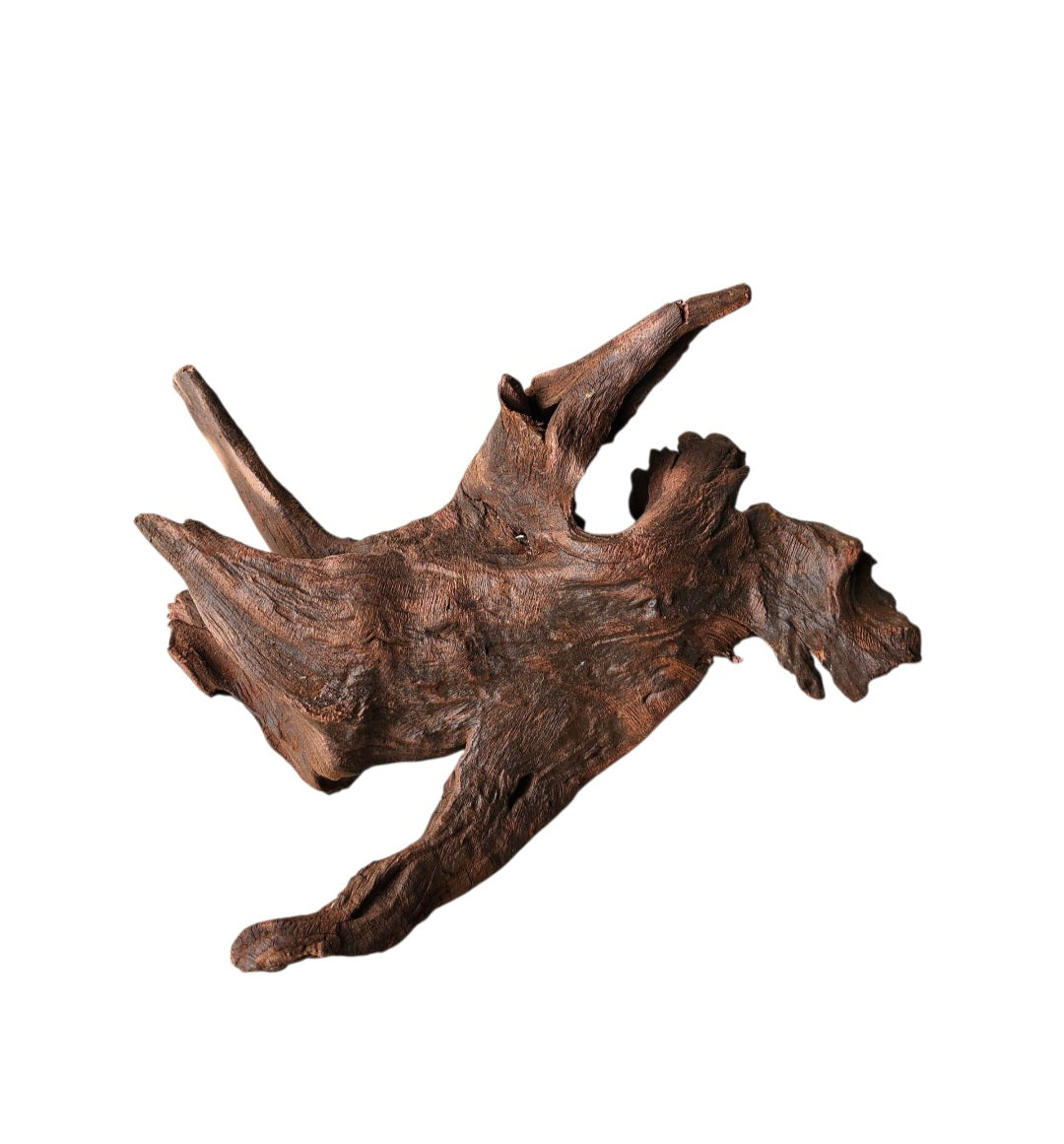 Driftwood / Flusswurzel   Nr. 271