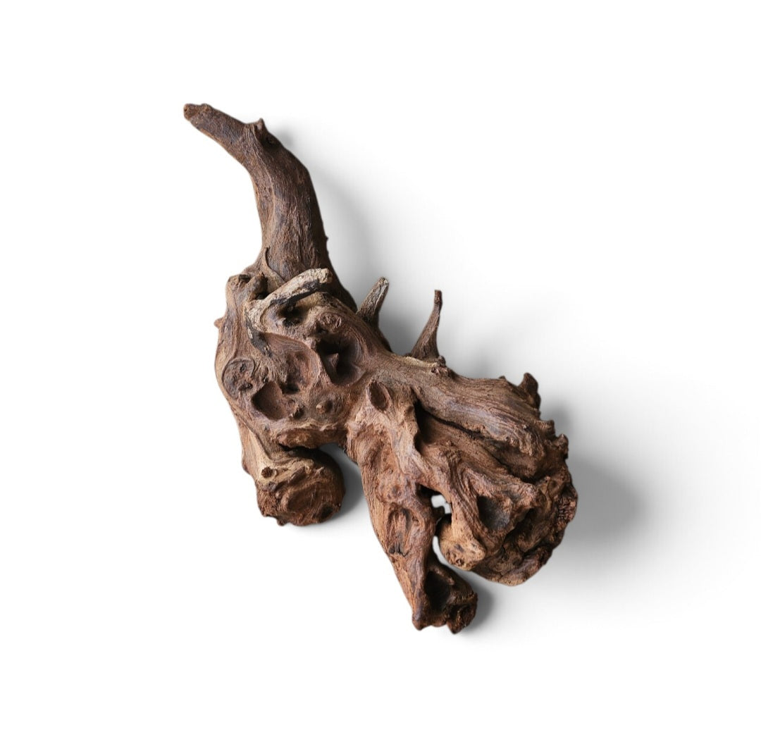 Driftwood / Flusswurzel   Nr. 375