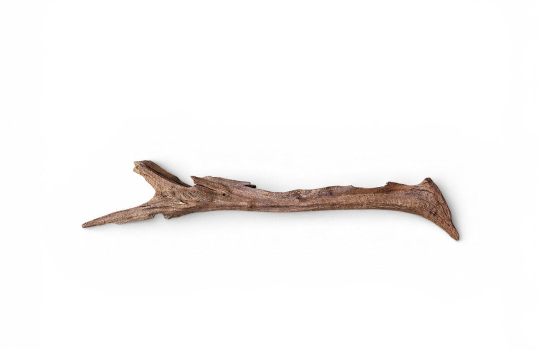 Driftwood / Flusswurzel   Nr.800