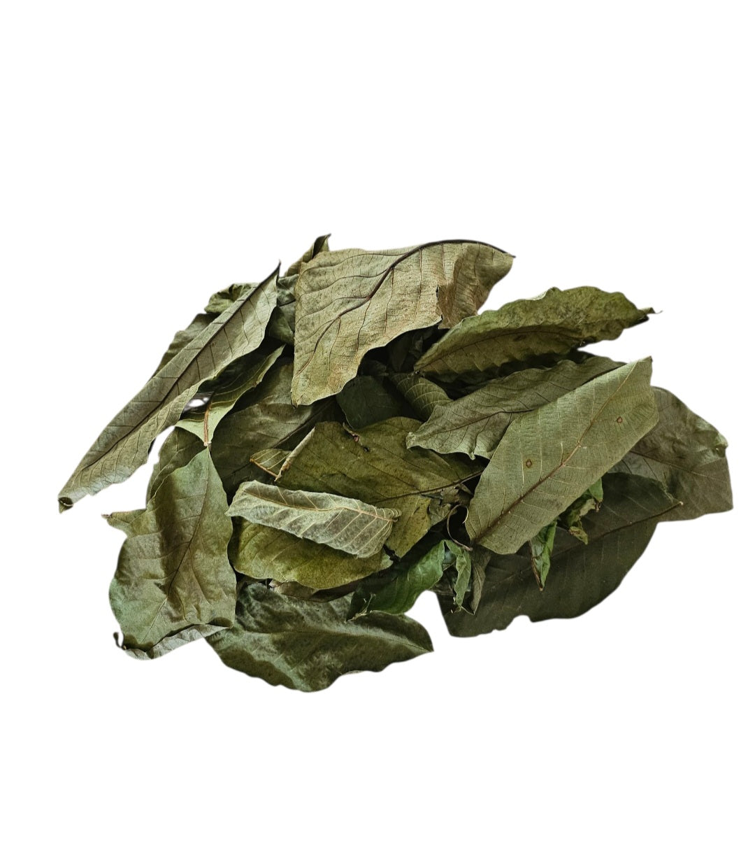 Walnussblätter grün 25 Stück