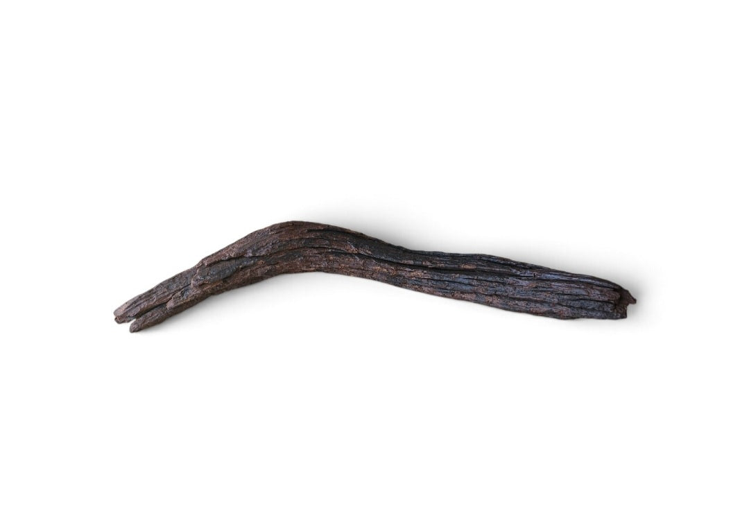 Driftwood / Flusswurzel   Nr. 74