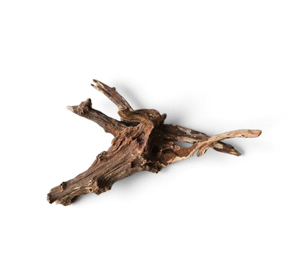 Coral Sinker Wood   Nr. 190