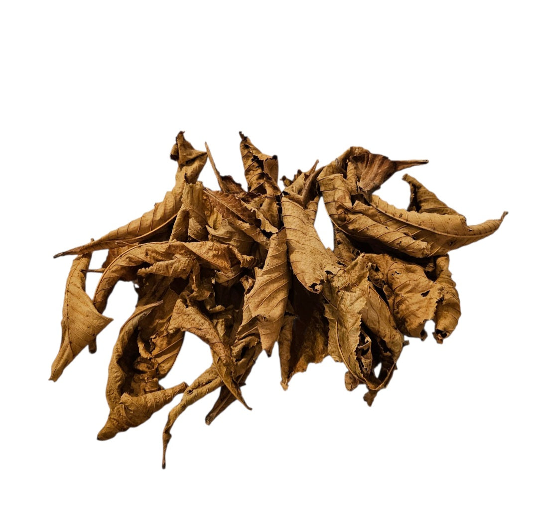Kastanienblätter braun 25 Stück
