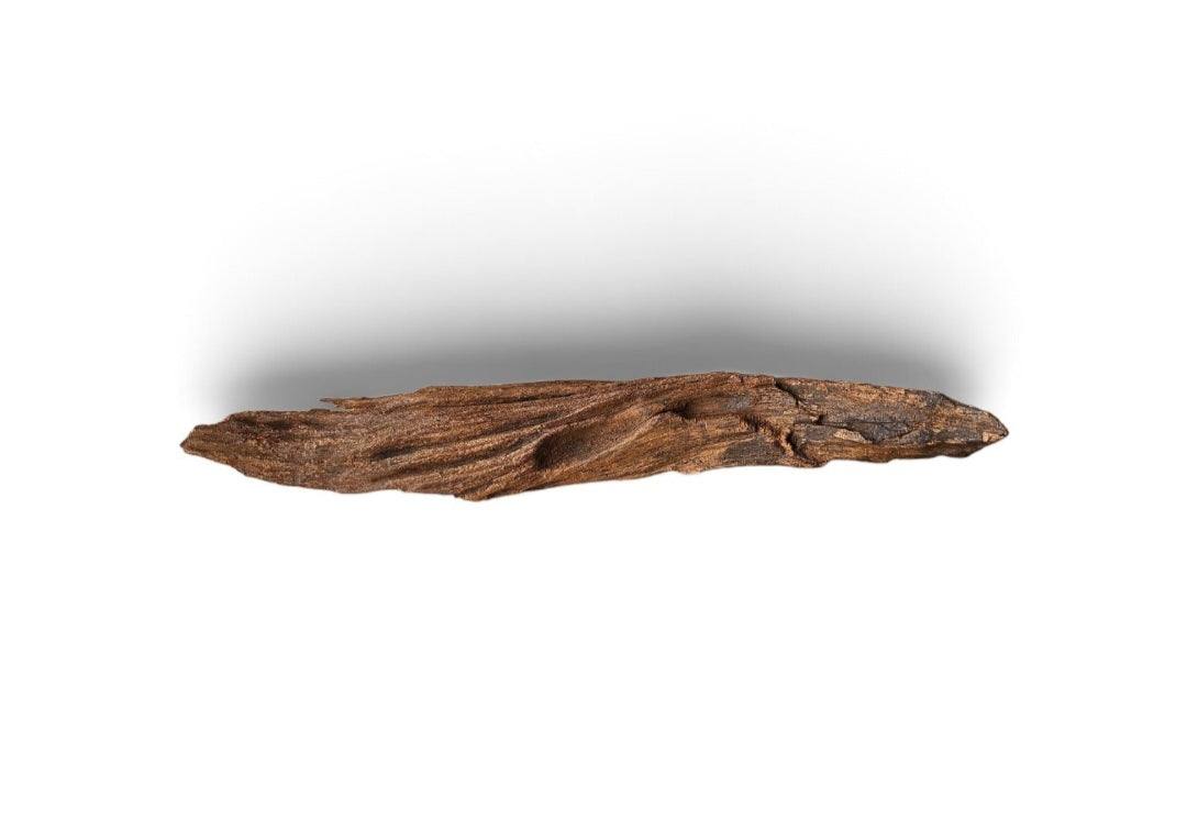 Driftwood / Flusswurzel   Nr.991