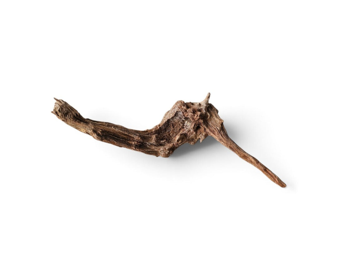 Coral Sinker Wood   Nr. 179
