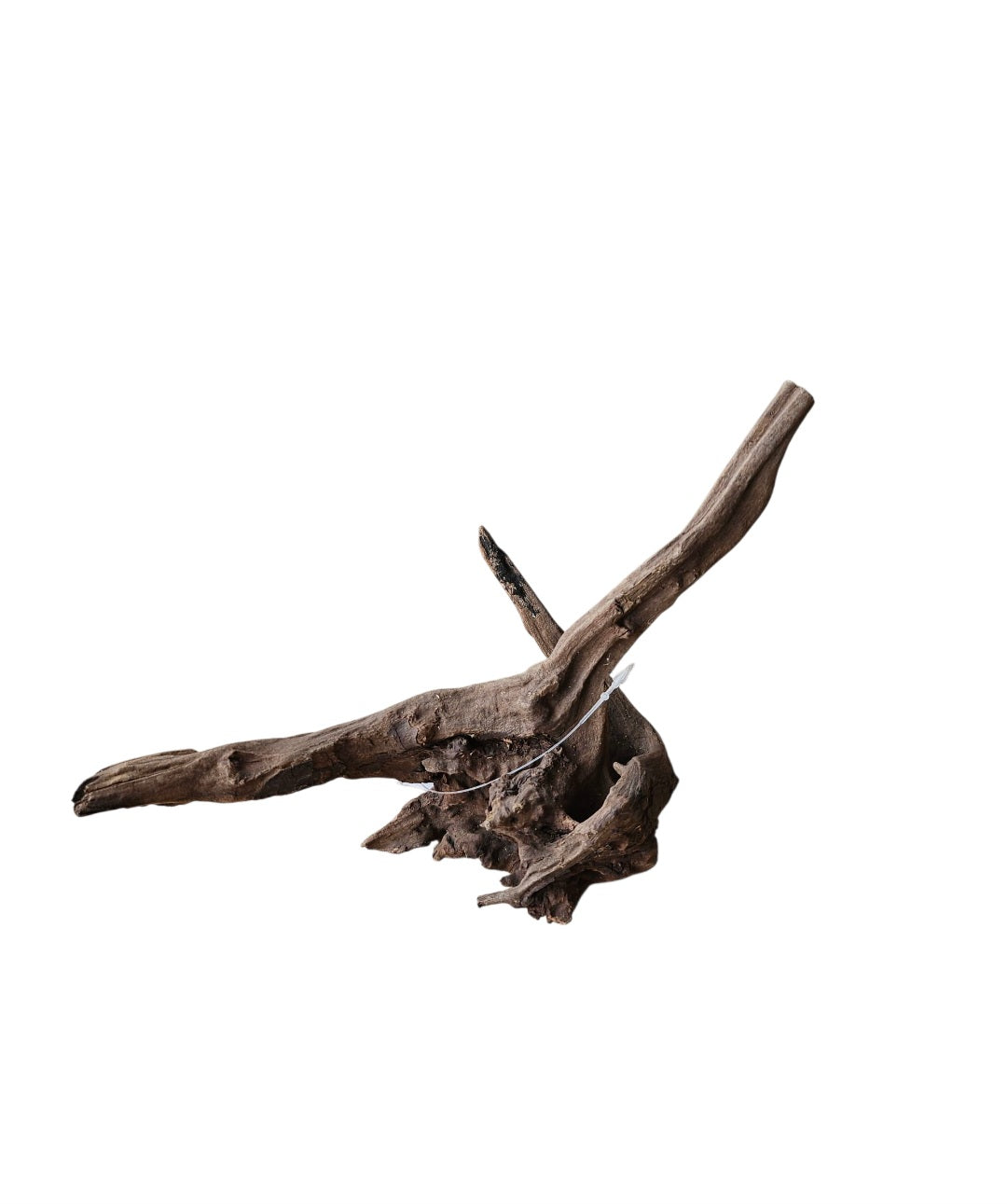 Black Slim Wood  Größe S  Nr.22