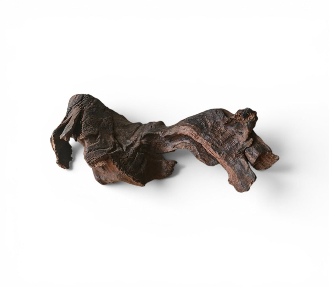Driftwood / Flusswurzel   Nr. 257
