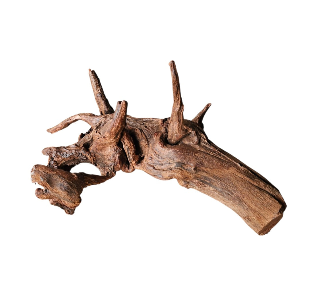 Driftwood / Flusswurzel   Nr.994