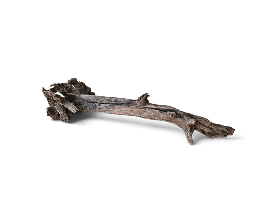 Coral Sinker Wood   Nr.638
