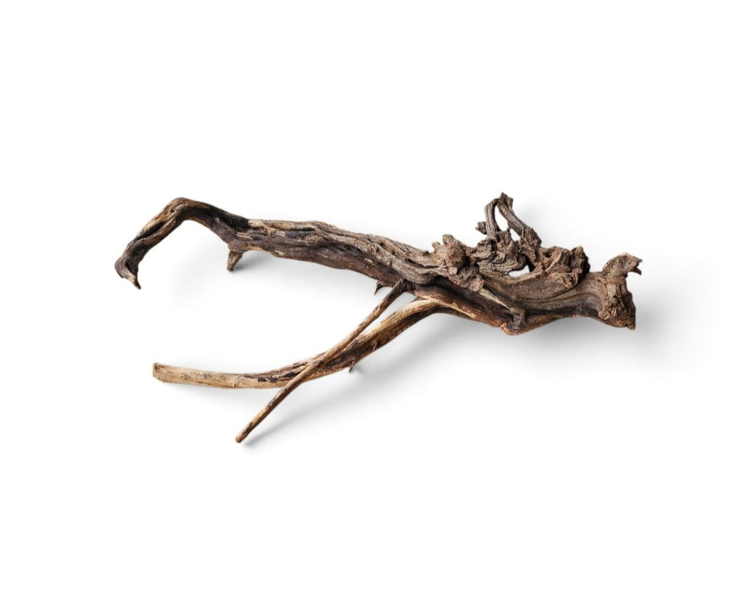 Coral Sinker Wood   Nr. 109