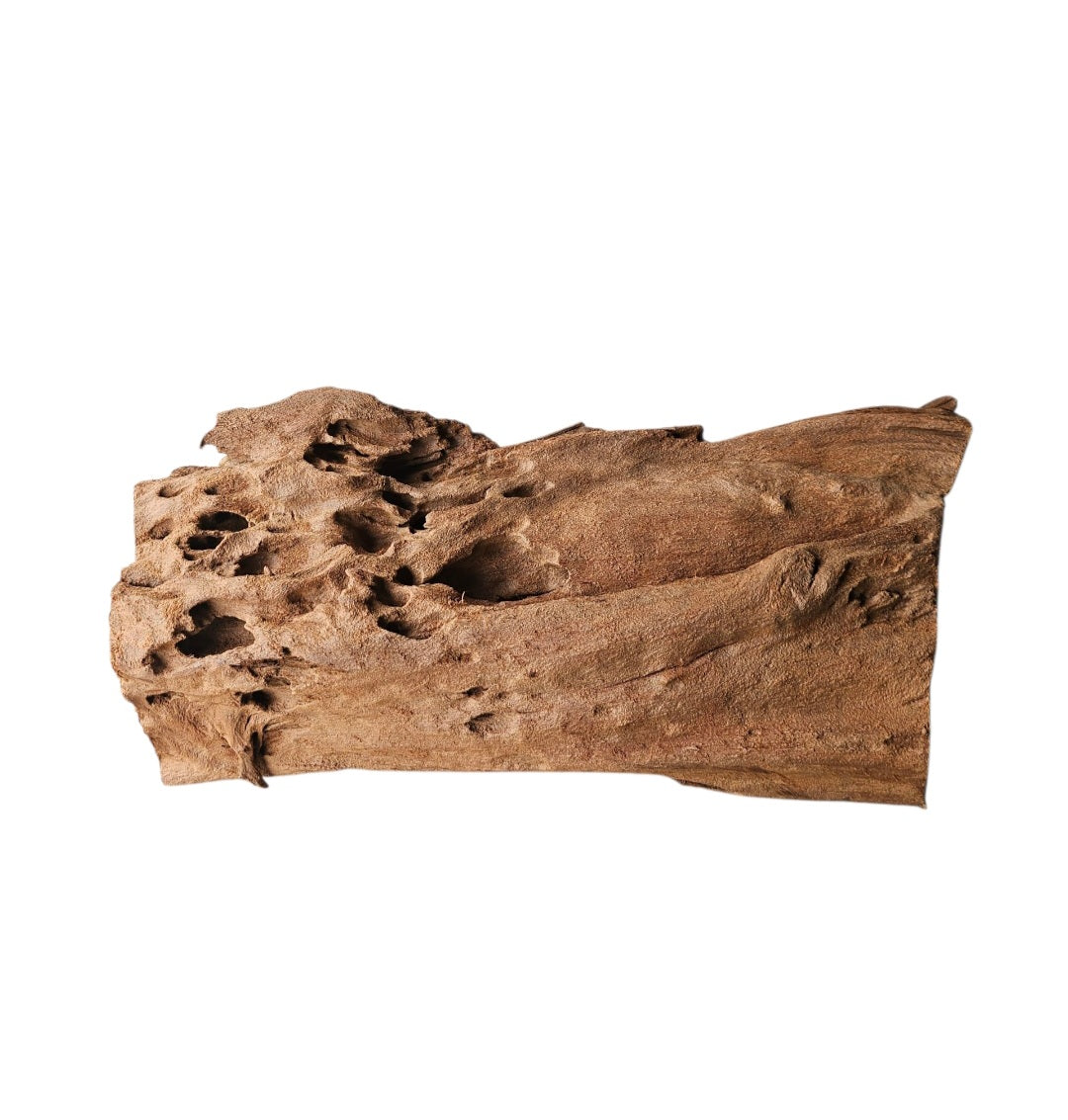 Mangrove  Größe XL  /  Nr.132