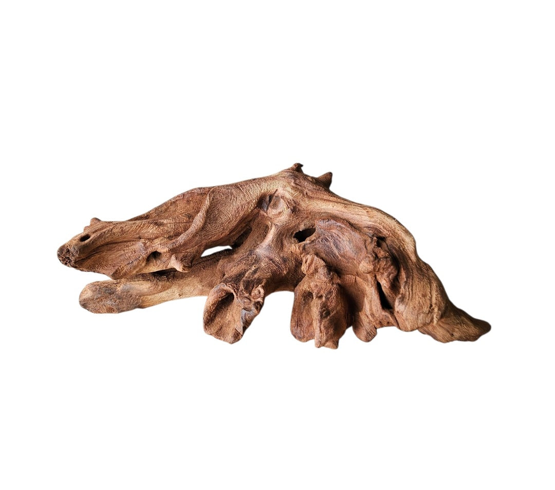Driftwood / Flusswurzel   Nr.996