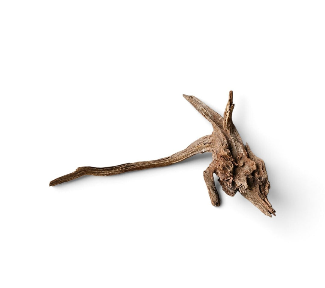 Coral Sinker Wood   Nr. 465