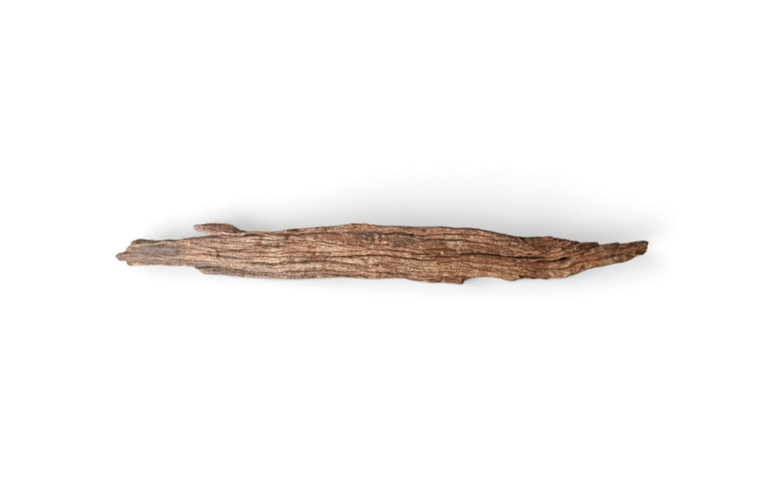 Driftwood / Flusswurzel   Nr. 480