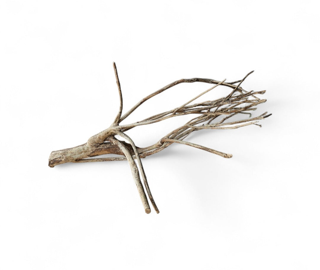 Talawa Holz / Wood 50-70 cm   Nr. 157