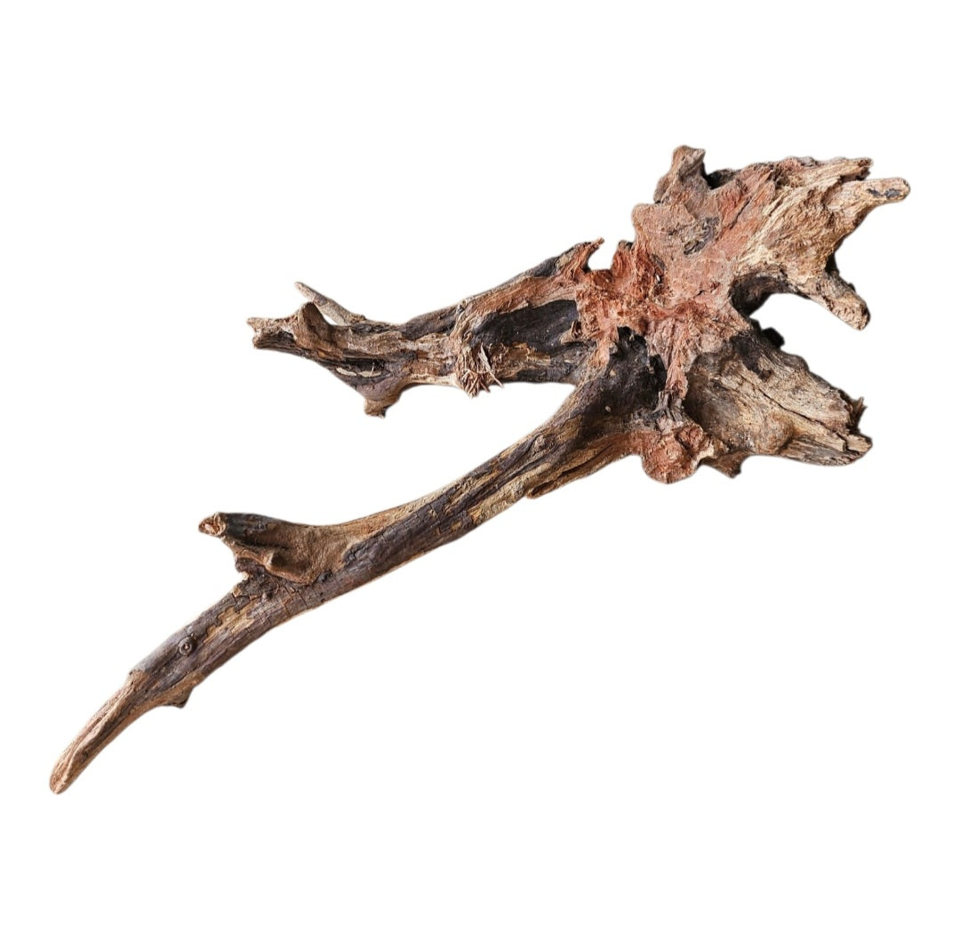 Coral Sinker Wood   Nr. 873